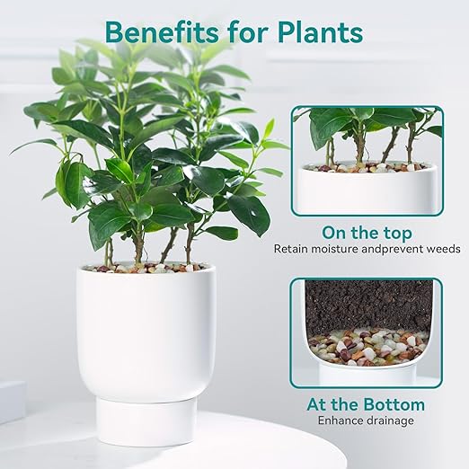 5lbs Pebbles for Indoor Plants, 3/8 Inch Small Rocks for Potted Plants, Succulents, Vase Fillers, Cactus Planters, Bird Bath, Fountain, Outdoor Garden Landscaping