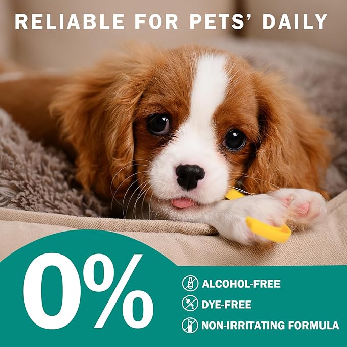 Dog Eye Wipes Gently Remove Tear Stain Eye Debris for Dogs &Cats Pet Grooming Kit Care Wash Cleaner for Eyes Wrinkle Face 100pcs Unscented