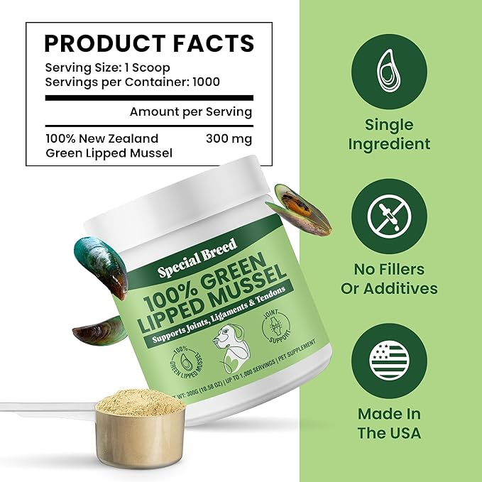 Green Lipped Mussel Powder for Dogs & Cats - 100% New Zealand Green Lipped Mussels - Natural Hip & Joint Supplement for Joints, Tendons, Ligaments, Muscles - 300 Grams - Up to 1,000 Servings