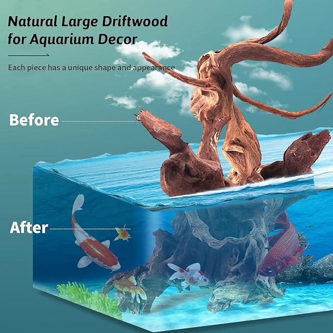Hamiledyi 24 Pcs Small Driftwood for Aquarium 3"-5" Driftwood Branches Aquarium Decoration Reptiles Reptile Tank Accessories Assorted Size Natural Habitat Decor Wood for Lizad