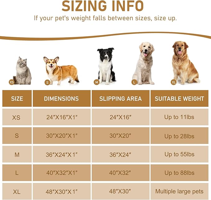 Smiry Dog Door Mat for Muddy Paws 24x16, Absorbs Moisture and Dirt Doormat, Non-Slip Washable Quick Dry Chenille Front Door Mat Indoor Entrance, Entryway Carpet for Inside Floor, Ivory