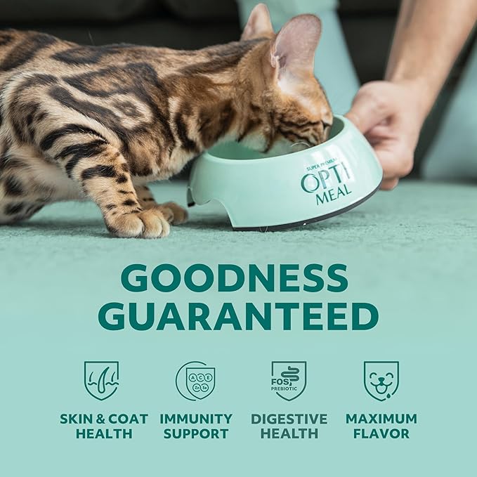 Optimeal Grain-Free Wet Cat Food – Shrimp & Salmon Recipe, High Protein & Moisture Rich Indoor Adult Cats Food, Tender Morsels in Savory Gravy Natural Ingredients - 3 oz Pouches, 12 Pack