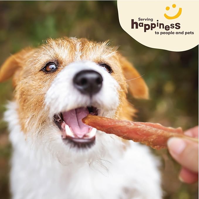 Pet 'n Shape Chik 'n Skewers - Chicken Wrapped Rawhide Chew Dog Treats - 1 Pound