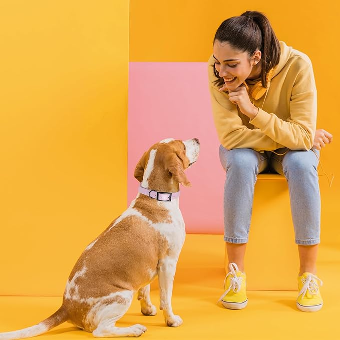 Dogline Biothane Waterproof Dog Collar Strong Coated Nylon Webbing with Black Hardware Odor- Proof for Easy Care Easy to Clean High Performance Fits Small Medium or Large Dogs, Pastel Purple