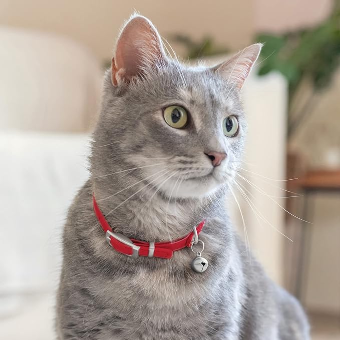 CollarDirect Leather Cat Collar with Bell - Kitten Collar, Small and Big Cat Strap for Boy Cats, Girl Cats with Safety Elastic Strap (Neck Fit 6"-7", Red)
