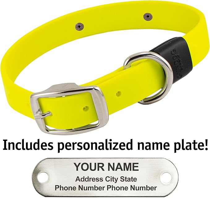 Biothane Custom Dog Collar – Waterproof, Stink-Proof Personalized Collar with Name & Phone Number – Durable, Many Sizes and Colors – Assembled in USA (Bright Yellow)