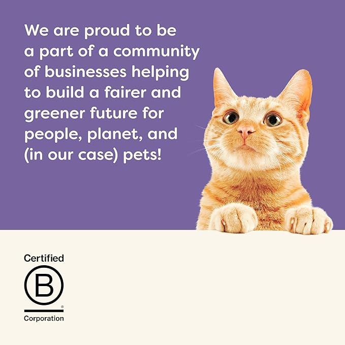 Applaws Natural Wet Cat Food in Gravy, Limited Ingredient Canned Wet Cat Food, Variety Pack, Made with Natural Ingredients, Fish Selection Variety Pack in Gravy (12 x 2.47oz Cans)