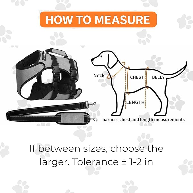 Ayquez Dog Lift Harness with Storage and Transport Bag, Dog Harness with Handle for Lifting & Hip dysplasia, arnés para Perros pequeños, pechera para Perros (Gray, XXL)