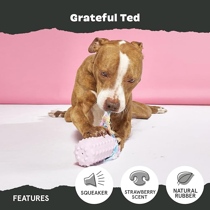 Barkbox Grateful Ted Dog Toy for Medium Dogs – Strawberry-Scented Rip & Reveal Toy for Determined Chewers and Interactive Playtime