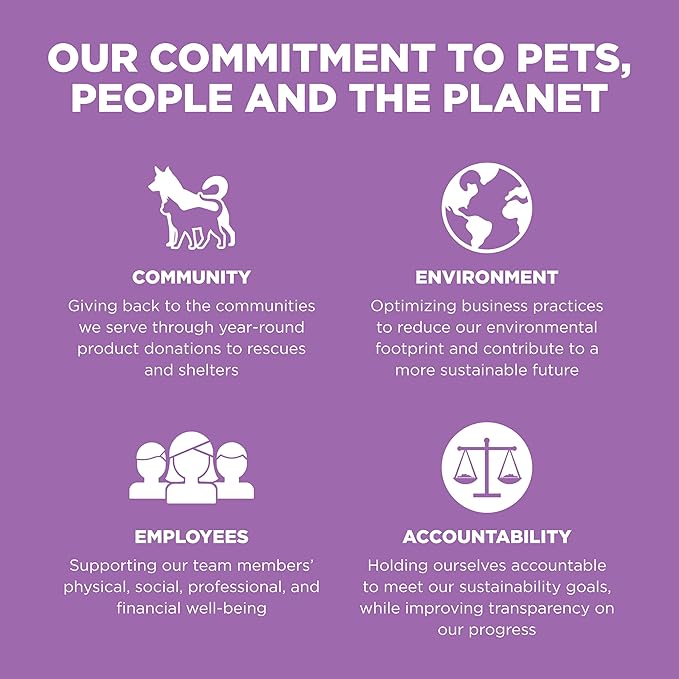 Go! Solutions Carnivore, Grain-Free, Protein Rich Dry Cat Food, Chicken, Turkey and Duck Recipe, 3 lb Bag