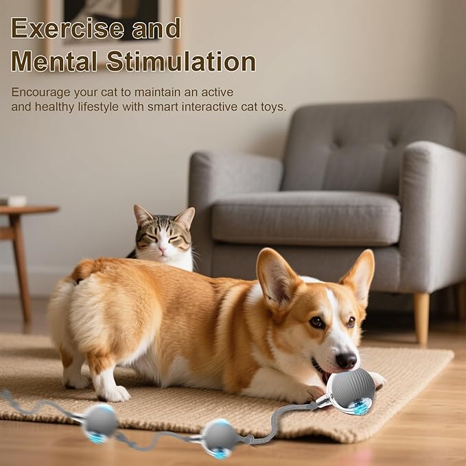 Interactive Cat Toy, 2025 New Interactive Rolling Cats Dog Toy Balls 360° Smart Automatic Rolling Pet Ball, Fast Moving Toy for Dog,Cat Ball Toy (Red)