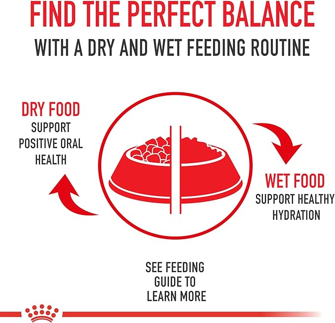 Royal Canin Feline Care Nutrition Hair & Skin Care Loaf in Sauce Canned Cat Food, 5.1 oz can (24-count)