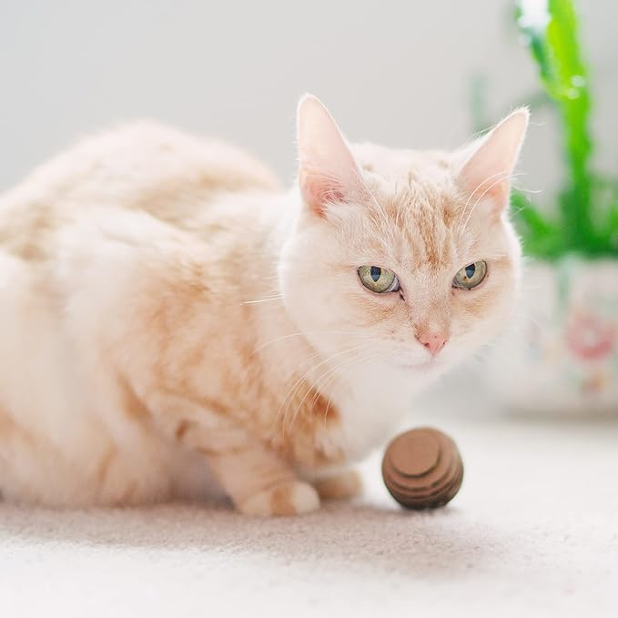 Cat Ball Toys by Americat – Made in USA – Safe Cardboard Cat Toys – for Interactive and Independent Play, Exercise & Stress Relief for All Breeds & Ages (Pack of 3 Round Balls)