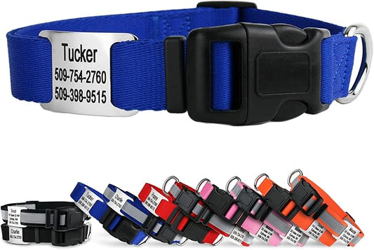 GoTags Personalized Dog Collar with Nameplate, Adjustable Dog Collar with Custom Engraved Slide On Pet ID Tag in Stainless Steel, Silent, No Noise Dog Tag for Large Medium and Small (Blue, Small)