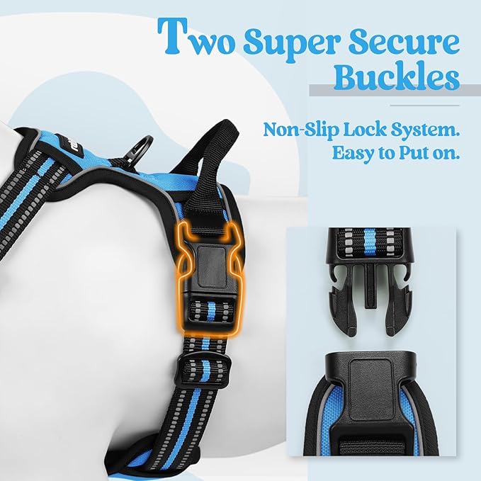 rabbitgoo Dog Harness No Pull with 2 Leash Clips, Adjustable Soft Padded, Reflective Oxford No Choke Pet Vest with Easy Control Handle for Medium Sized Dogs, Blue, M