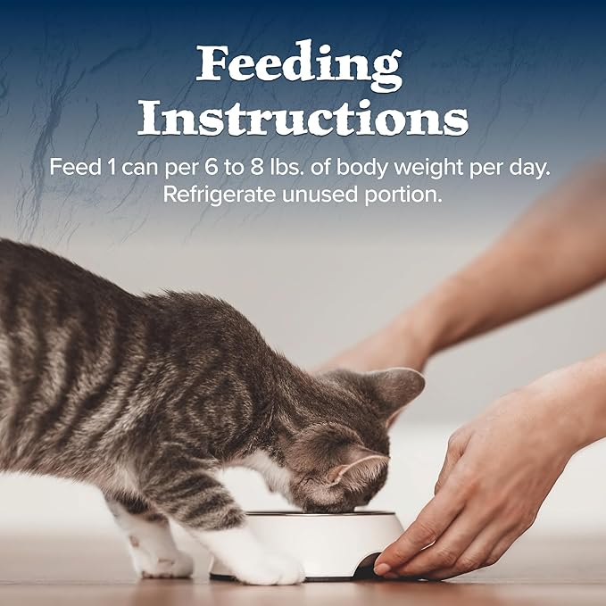 Blue Buffalo Wilderness High Protein Grain Free, Natural Mature Pate Wet Cat Food, Chicken 5.5-oz cans (Pack of 24)