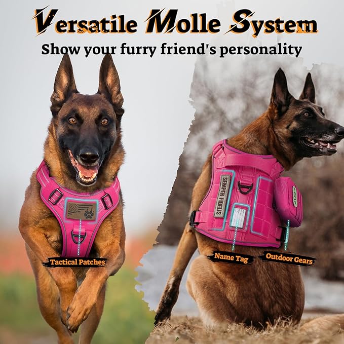 rabbitgoo Dog Harness Small Sized No Pull, Tactical Service Pet Vest with Molle and Control Handle, Adjustable and Reflective Military Harness for Easy Walking and Training, Rose Red, S