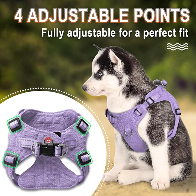 BARKBAY Dog Harness, Reflective Adjustable Puppy No Pull Harness, Breathable Soft for Small and Medium Dogs, Violet Purple, XXS