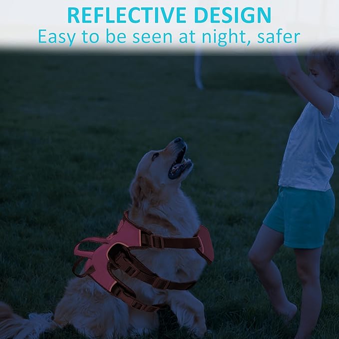 Escape Proof Dog Harness, No Pull Reflective Adjustable Vest with Easy Control Lift Handle, No Choke Soft Padded Breathable Full Body Pet Harness for Walking Hiking and Training (Pink, Small)