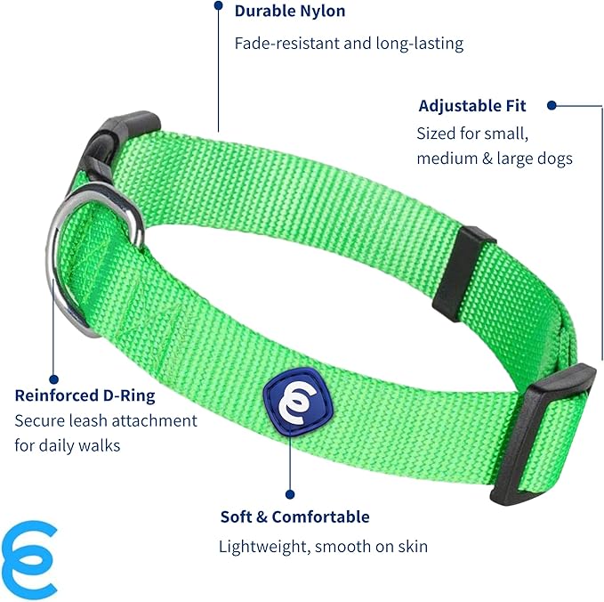 Blueberry Pet Essentials X-Small Dog Collar in Neon Green | Adjustable & Eco-Friendly Durable Nylon Strap | Classic Collar for X-Small Dogs, Boy & Girl Pets