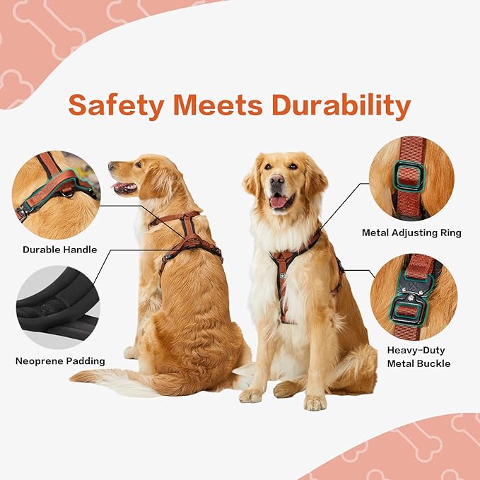 CLEPAWS Dog Harness for Large Dogs, No Pull Dog Harness Easy Walk with Metal Hardware, Ergonomic Y-Shaped Design, Soft Padding, Padded Handle, Durable High-Tensile Nylon (Canyon Red, L)