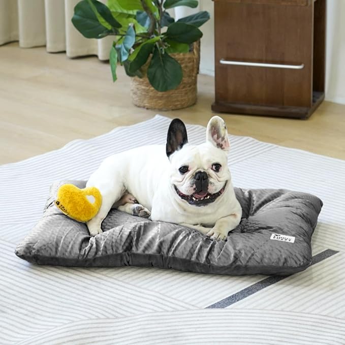 FUNNY FUZZY 30x20 Washable Dog Bed Crate Mat, 2 in1 Pet Pillow Sleeping Bed, Fluffy Deluxe Kennel Mattress for Medium Dog and Cat,Charcoal Grey,M