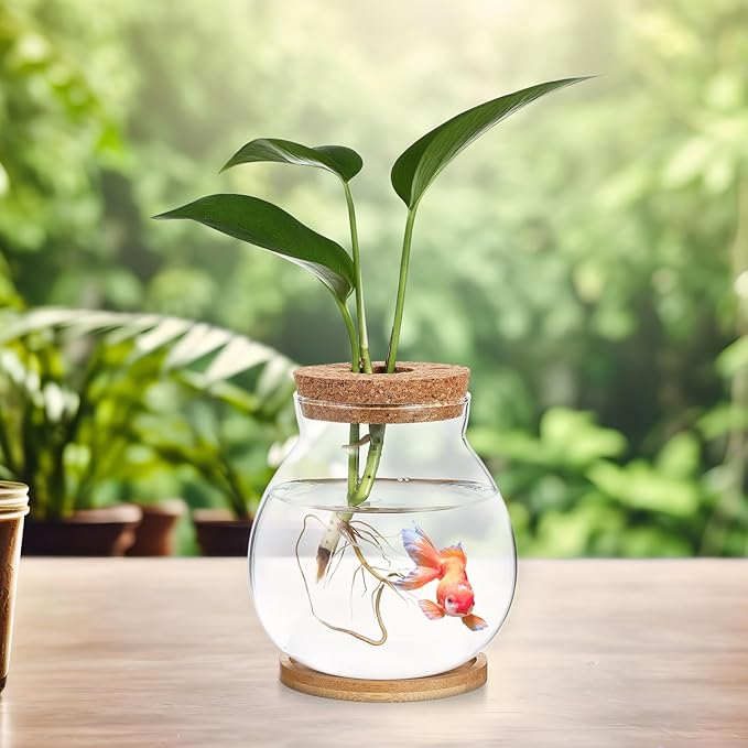 Desktop Fish Bowl Clear Glass Small Betta Fish Tank with Wood Lid and Bamboo Stand Table Hydroponic Plants Terrarium for Home Office Decoration 13 * 14cm