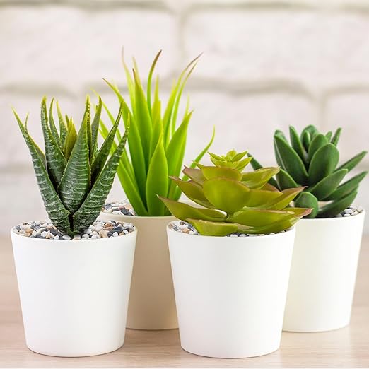 2.5 lbs Small Rocks for Plants, 1/5 Inch Pebbles for Indoor Plants, Natural Decorative Pea Gravel for Aquarium, Fish Tank, Terrarium, Succulents, Bamboo Plants, Vases, Cactus, Crafts