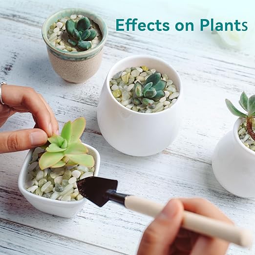 2.5 lbs Jade Pebbles for Indoor Plants, 1/5 Inch Succulent and Cactus Pebbles, Decorative Gravel for Vases, Bamboo,Terrarium, Crafts, Cactus