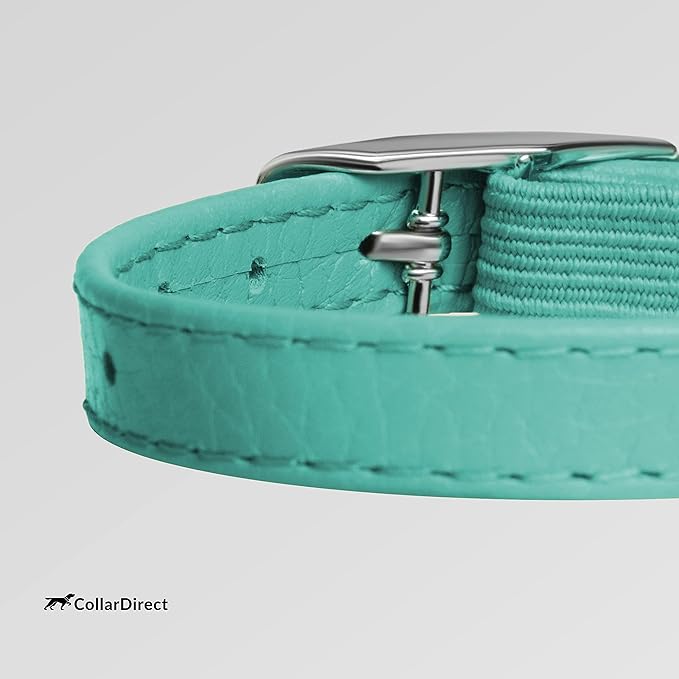 CollarDirect Leather Cat Collar, Cat Safety Collar with Elastic Strap, Kitten Collar for Cat with Bell Black Blue Red Orange Lime Green (Neck Fit 6"-7", Mint Green)