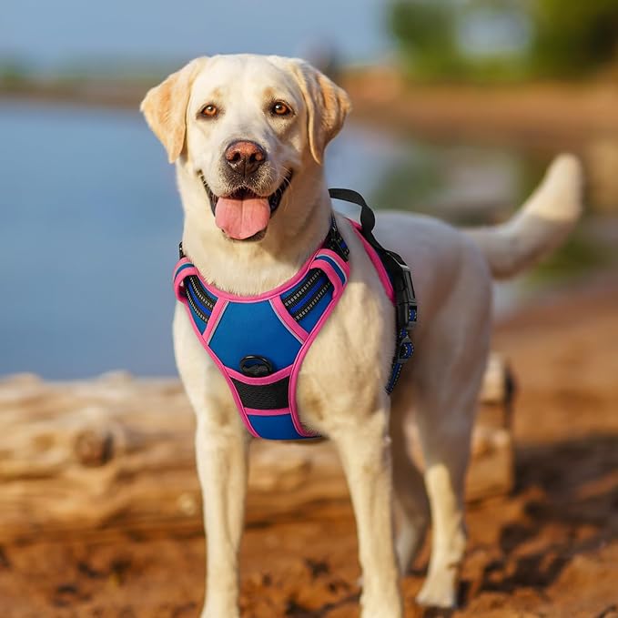 rabbitgoo Dog Harness No Pull with 2 Leash Clips, Adjustable Soft Padded, Reflective Oxford No Choke Pet Vest with Easy Control Handle for Large Dogs, Blue & Hot Pink, M