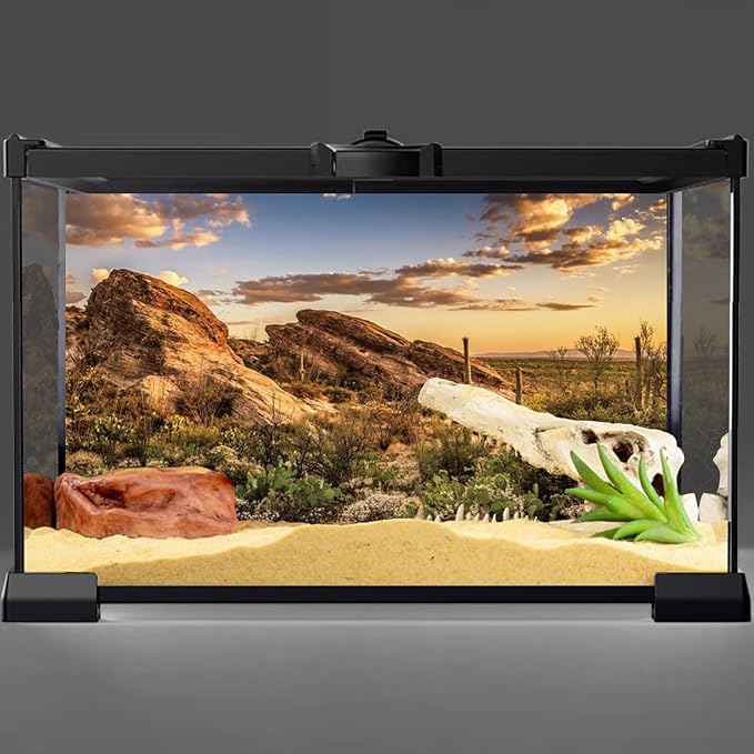 AWERT Reptile Habitat Background Blue Sky Oasis Cactus Sun and Desert Terrarium Background 72x16 inches Durable Polyester Background