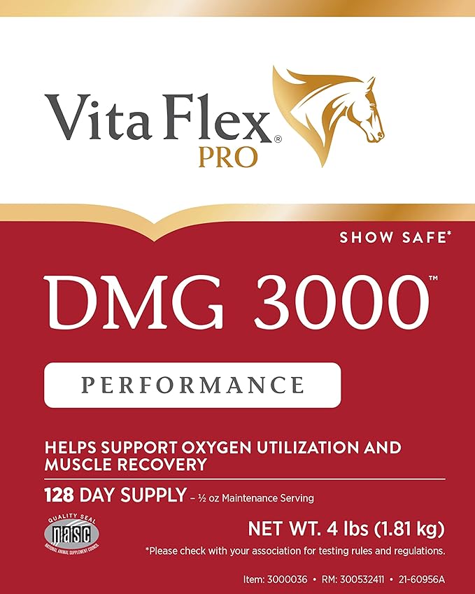 Pro DMG 3000 Horse DMG Concentrate, 4 Pounds, 128-Day Supply
