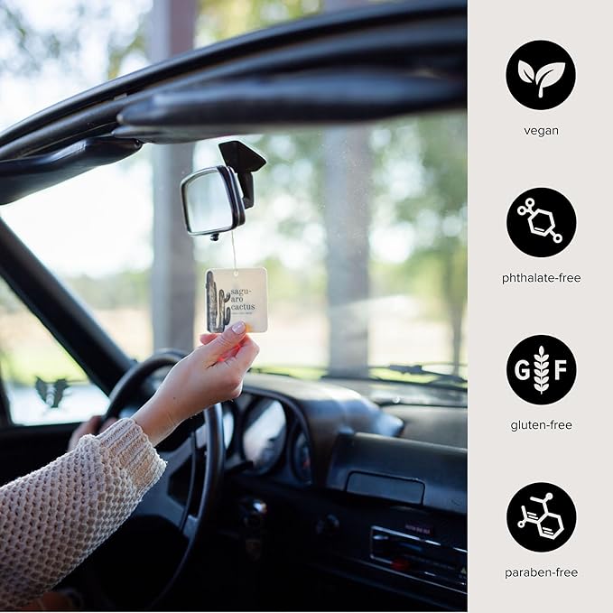 Broken Top Botanical Car Air Freshener Variety Pack, 6 Pack (2 Coconut Sandalwood, 2 Saguaro Cactus, 2 Sea Salt Surf)