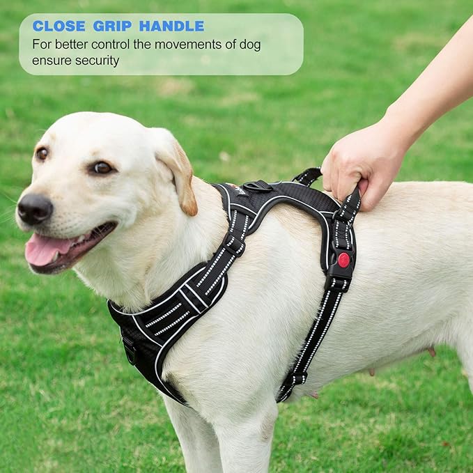 No Pull Dog Harness Adjustable Reflective Oxford Easy Control Medium Large Dog Harness with A Free Heavy Duty 5ft Dog Leash (M (Neck: 14.5"-20.5", Chest: 22"-28"), Black Harness+Leash)