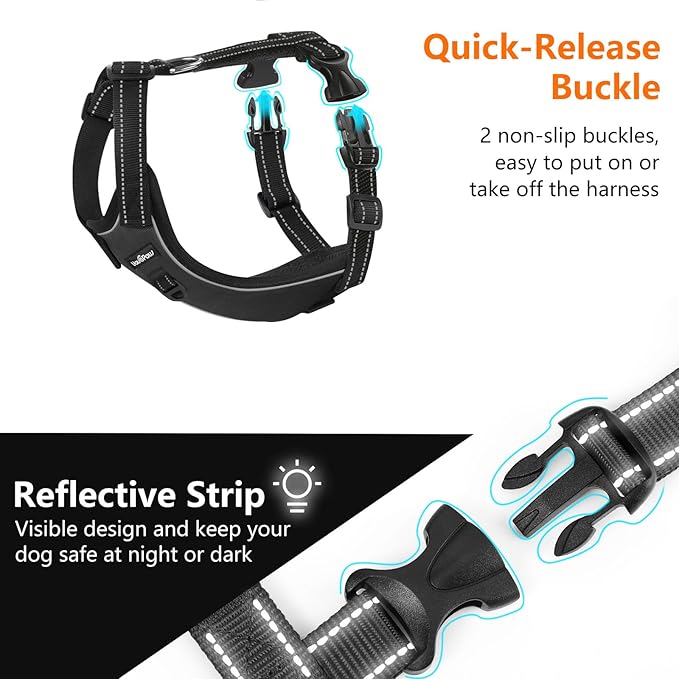 Dog Seat Belt Harness for Car, Dog Car Harness Adjustable Mesh Breathable & Dogs Seatbelt Safety Tether with Elastic Bungee for Small Medium Large Pets(Carbon Black, XL)