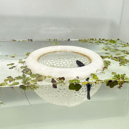 Aquarium Floating Betta Fish Skins, Betta or Shrimp Feeder, Cave and Hammock, Small Fish Feeding Rings, Aquarium Hiding Feeding Decorative Accessories (Translucent Color)