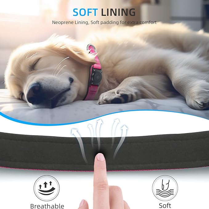 Upgraded AirTag Dog Collar, IP68 Waterproof Air Tag Dog Collar Holder, Reflective, Ultra-Durable, Comfortable Padded, Heavy Duty Dog Collars for Small Medium Large Dogs (XS (10.25"-13"), Hotpink)