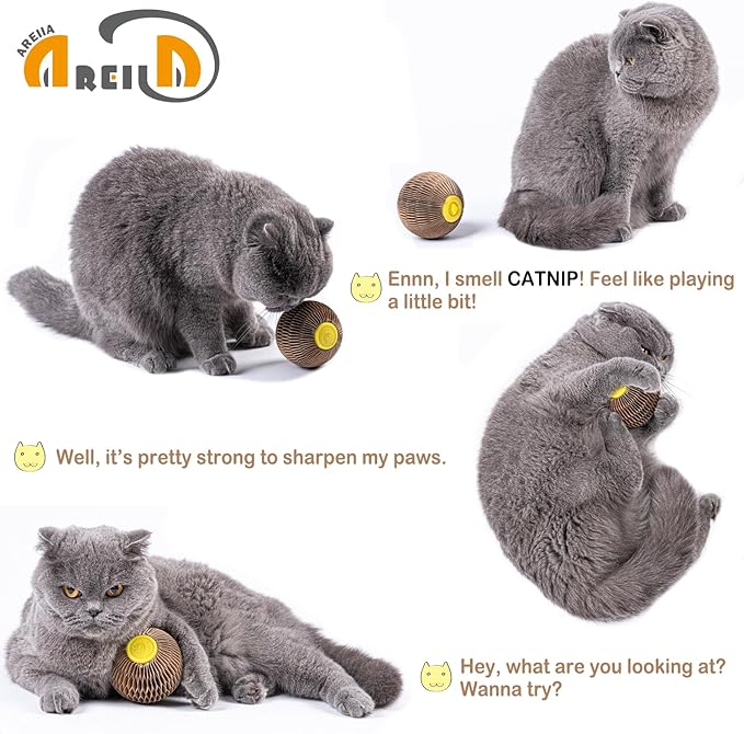 AREIIA Catnip Ball Toy for Cats Catnip Refillable Scratcher Ball Kitty's Faithful Playmate Reduce Obesity and Loneliness CSB01BR