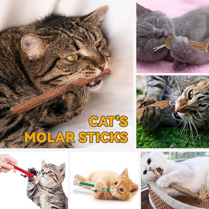 Cat Toys Cat Chew Toys, Silvervine Sticks Catnip Rope Toys for Cats Teeth Cleaning, Kitten Dental Care, Kitty for Indoor Cats Increase Appetite,Enhances Oral & Dental Health (20 Pack)