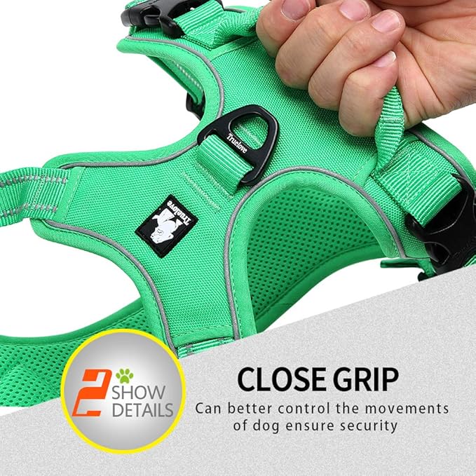 Truelove No Pull Dog Harness with Easy Control Handle and 2 Leash Attachments,Reflective Adjustable Pet Vest
