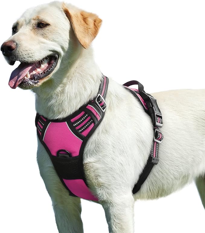 Eagloo Dog Harness for Large Dogs, No Pull Service Vest with Reflective Strips and Control Handle, Adjustable and Comfortable for Easy Walking, No Choke Pet Harness with 2 Metal Rings, Rose Red, L