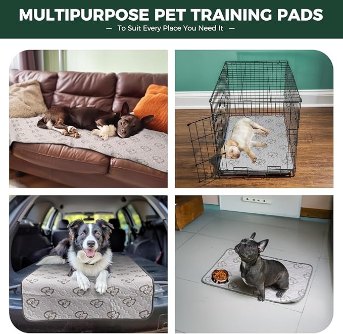 FXW Washable Pee Pads for Dogs, Puppy Pads with Super Absorbent, Specifically Designed for 36inch Cages, 35" × 23" Rectangle, Khaki, 4 Packs