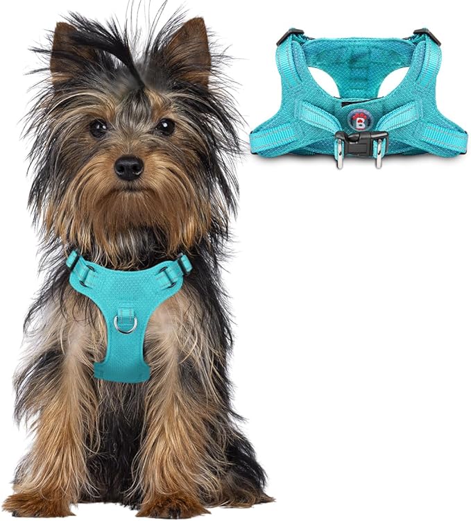 Dog Harness Step in Dog Vest Harness, Reflective Adjustable Puppy No Pull Harness Breathable Soft for Small and Medium Dogs Cats, Ocean Blue, XXS