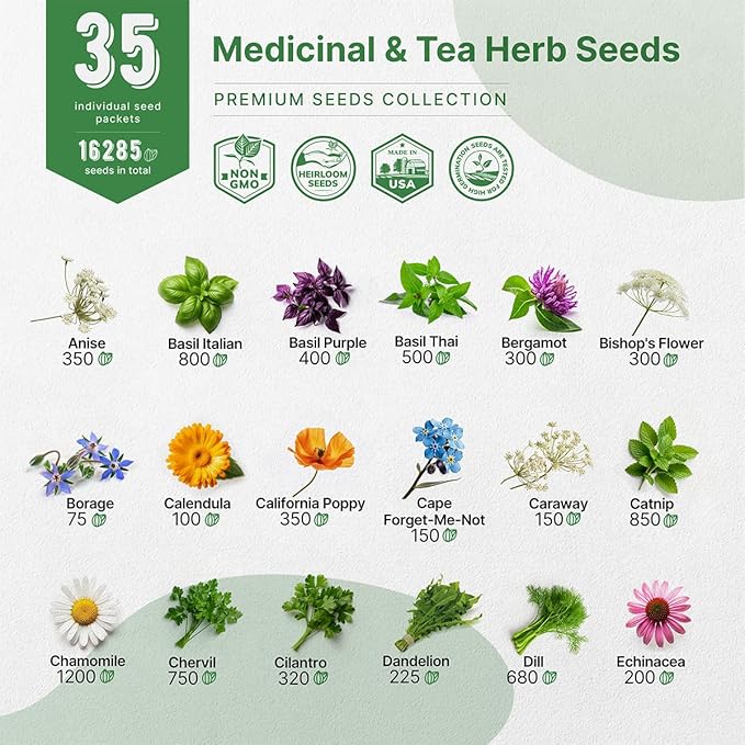 35 Medicinal & Tea Herb Seeds Variety Pack for Indoor & Outdoors. 16,335+ Non-GMO Heirloom Garden Seeds: Anise, Bergamot, Borage, Cilantro, Chamomile, Dandelion, Rosemary Seeds & More