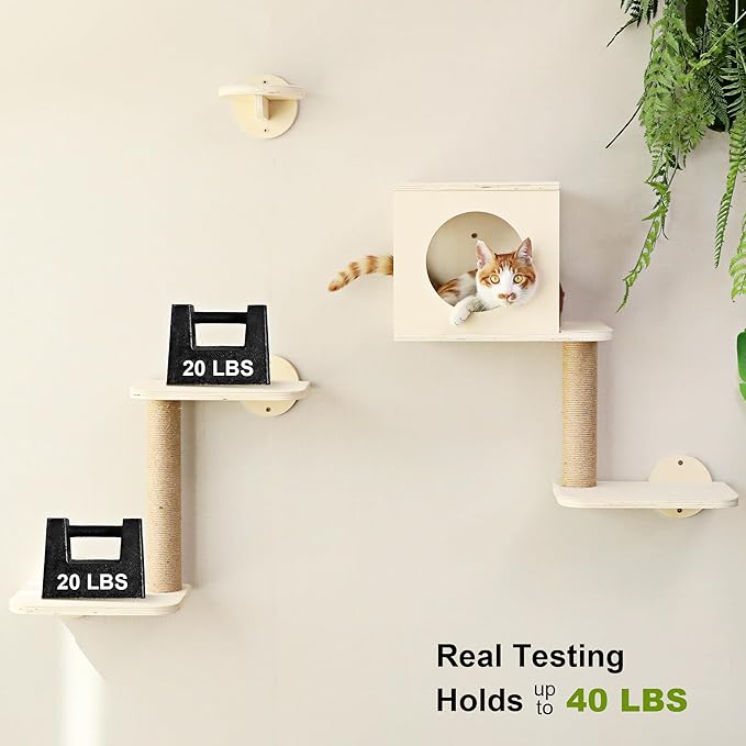 FUKUMARU Cat Wall Shelves, 5-Piece Stable Wooden Wall-Mounted Furniture Set, Kitty Climber with Hammock, House, Steps, Scratching Post (Beige)