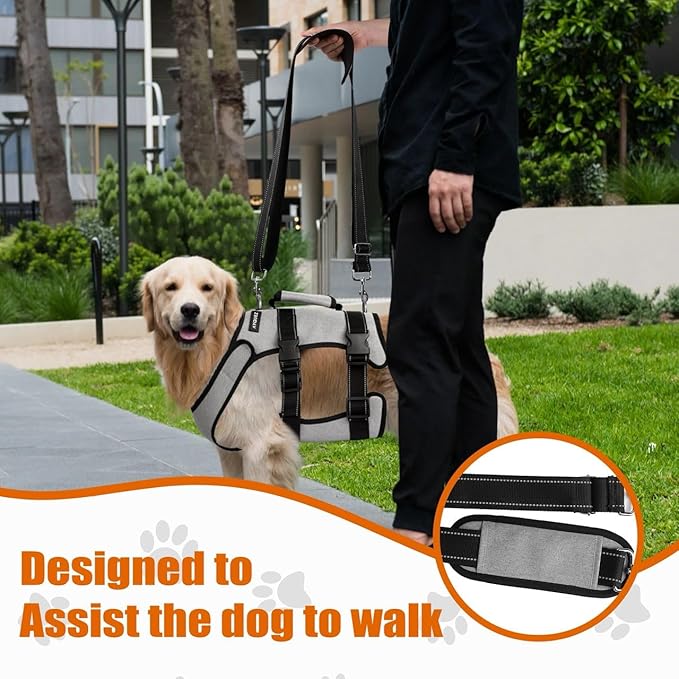 Ayquez Dog Lift Harness with Storage and Transport Bag, Dog Harness with Handle for Lifting & Hip dysplasia, arnés para Perros pequeños, pechera para Perros (Gray, XL)