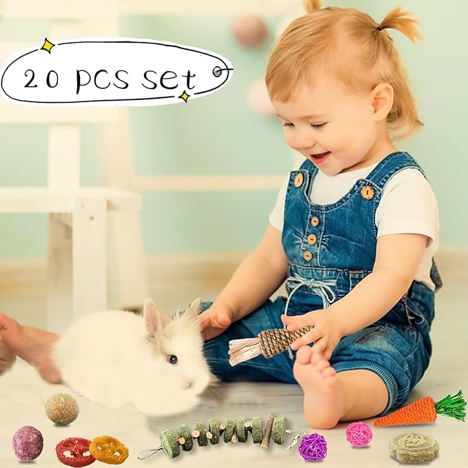 Grddaef 20 PCS Bunny Chew Toys for Teeth, Natural Rabbit Toys Apple Wood Grass Timothy Sticks Chew and Treat for Guinea Pigs Hamster Chinchillas