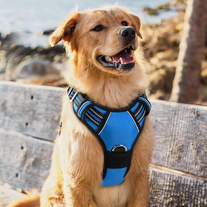 rabbitgoo Dog Harness for Large Dogs, No Pull Pet Vest with 3 Buckles, Adjustable Soft Padded Pet Harness with Easy Control Handle and Reflective Strips, Blue, XL