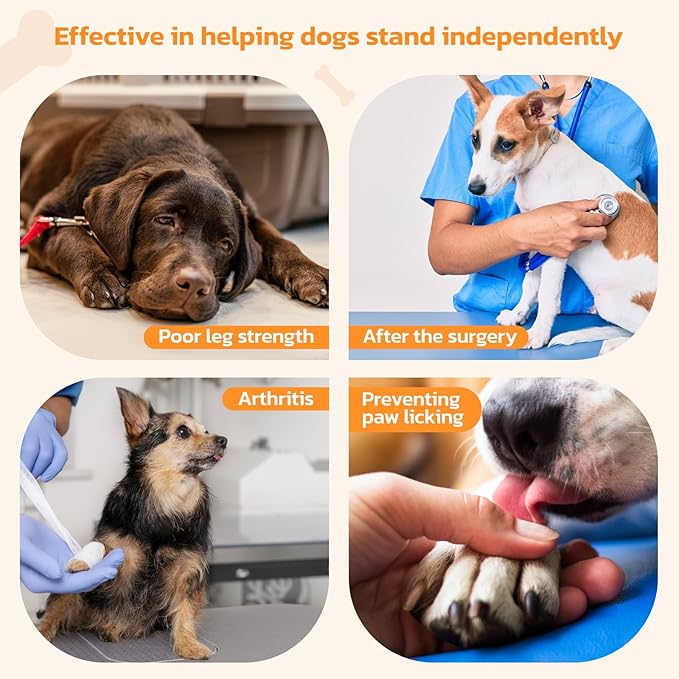 Anti-Slip Dog Paw Protector Pads for Senior Dogs, Dog Paw Blue Stickers with Strong Traction on Hardwood Floor, Dog Essentials,12sets(48pcs) S(4-10lbs)